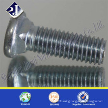 Carriage Bolt with Flat Head